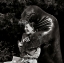 Picture of GIMME A HUG