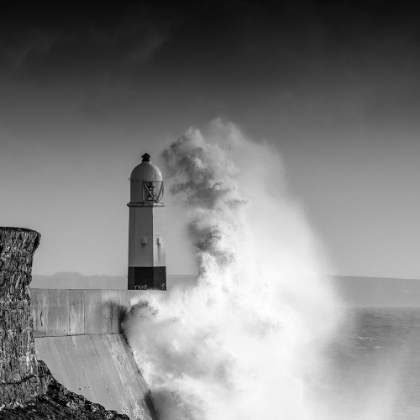 Picture of HAND OF POSEIDON