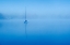 Picture of PEACEFUL BLUE MORNING