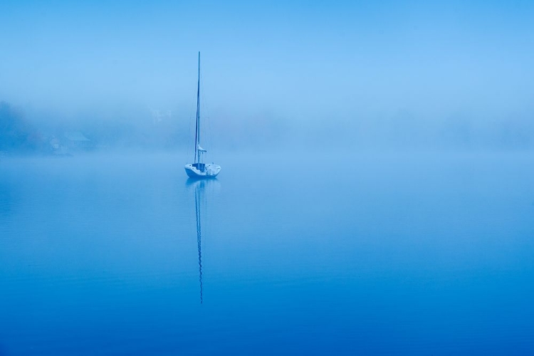 Picture of PEACEFUL BLUE MORNING