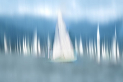 Picture of SAILING