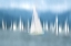 Picture of SAILING