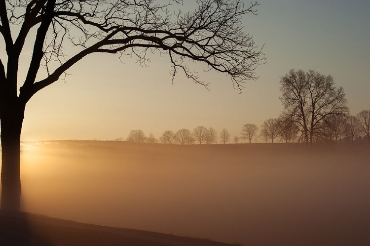 Picture of SUNRISE IN VALLEY FORGE NATIONAL PARK