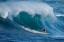 Picture of SURF