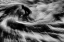 Picture of SURF 5
