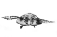 Picture of WHITE AND TURTLE