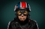 Picture of EASY RIDER
