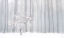 Picture of IN FRONT OF THE MISTY CURTAIN