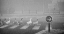 Picture of PEDESTRIANS