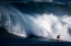 Picture of SURF