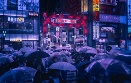 Picture of TOKYO BLUE RAIN