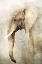 Picture of UNTITLED