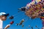 Picture of UNTITLED