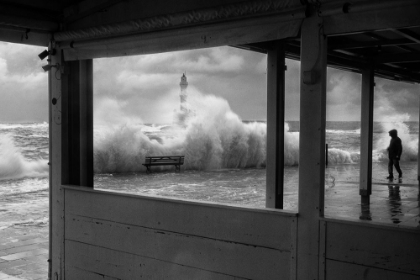 Picture of WAVE SURPRISE