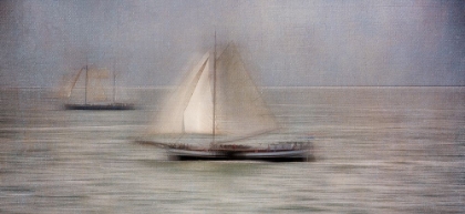 Picture of WITH THE WIND IN THE SAILS.