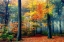 Picture of AUTUMN