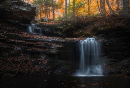 Picture of AUTUMN FLOW