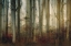 Picture of AUTUMN LIGHT