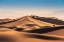 Picture of CARACAL DESERT