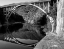 Picture of CLOSE THE CIRCLE