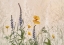 Picture of DREAMING OF FLOWERS