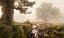 Picture of FANAL FOREST