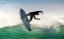 Picture of FLY ON THE WAVE