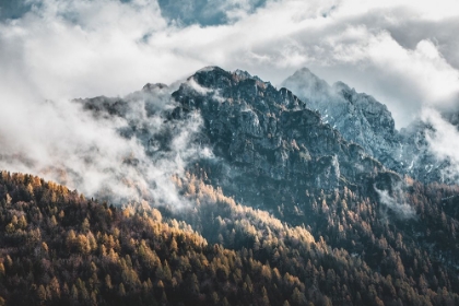 Picture of FOG IN THE MOUNTAINS