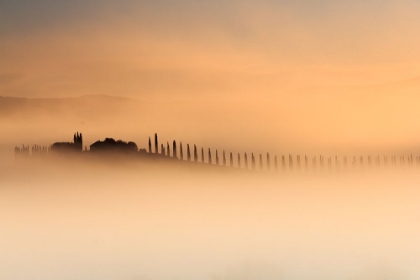 Picture of FOGGY SUNRISE