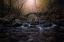 Picture of FOR A TASTE OF ETERNITY