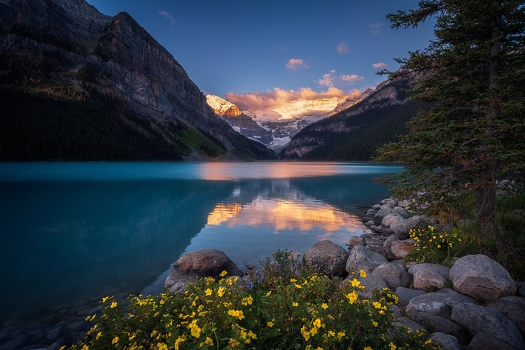 Picture of GOLDEN THRONE OF LAKE LOUISE