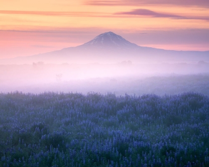 Picture of ICELAND - MORNING CALMNESS