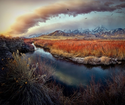 Picture of OWENS RIVER AT SUNRISE