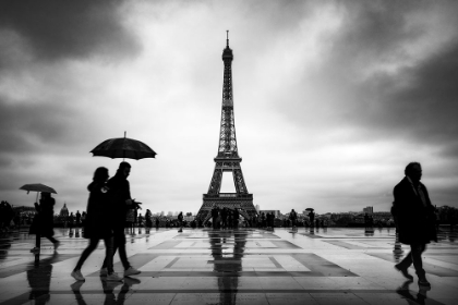 Picture of PARIS