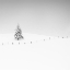 Picture of PLACEHOLDER