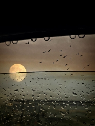 Picture of RAINY EVENING