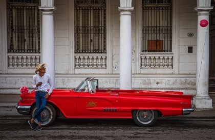 Picture of RED FAIRLANE