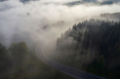 Picture of ROAD TO FOG