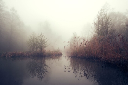 Picture of SILENCE