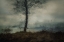 Picture of SILENT