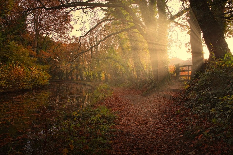 Picture of SUNSET BY THE CANAL