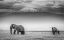 Picture of THE LAND OF GIANTS
