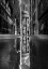 Picture of THE MIRROR OF ST PAULS CATHEDRAL