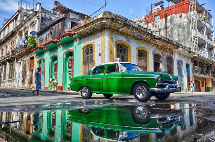 Picture of UNDER A WORNED GREEN CAR