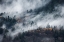 Picture of A PATH OF THE FOG
