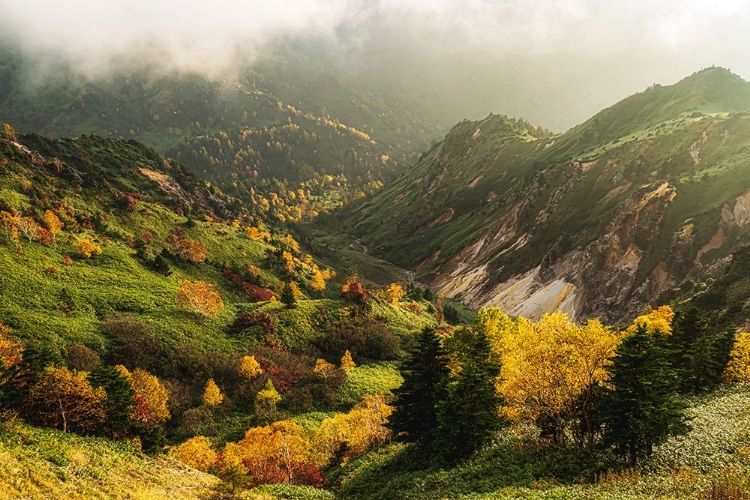 Picture of ALPINE AUTUMN.