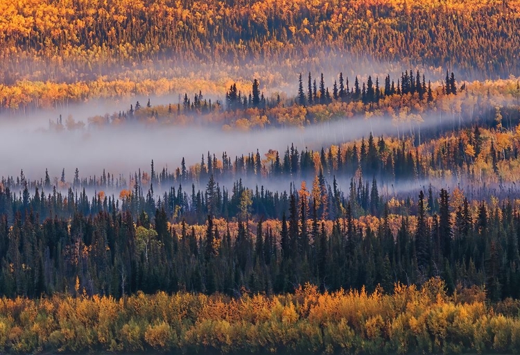 Picture of AUTUMN IN ALASKA