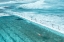 Picture of BONDI