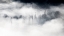 Picture of CLOUD FOREST ...