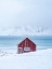 Picture of FISHERMANS HUT LOFOTEN NORWAY